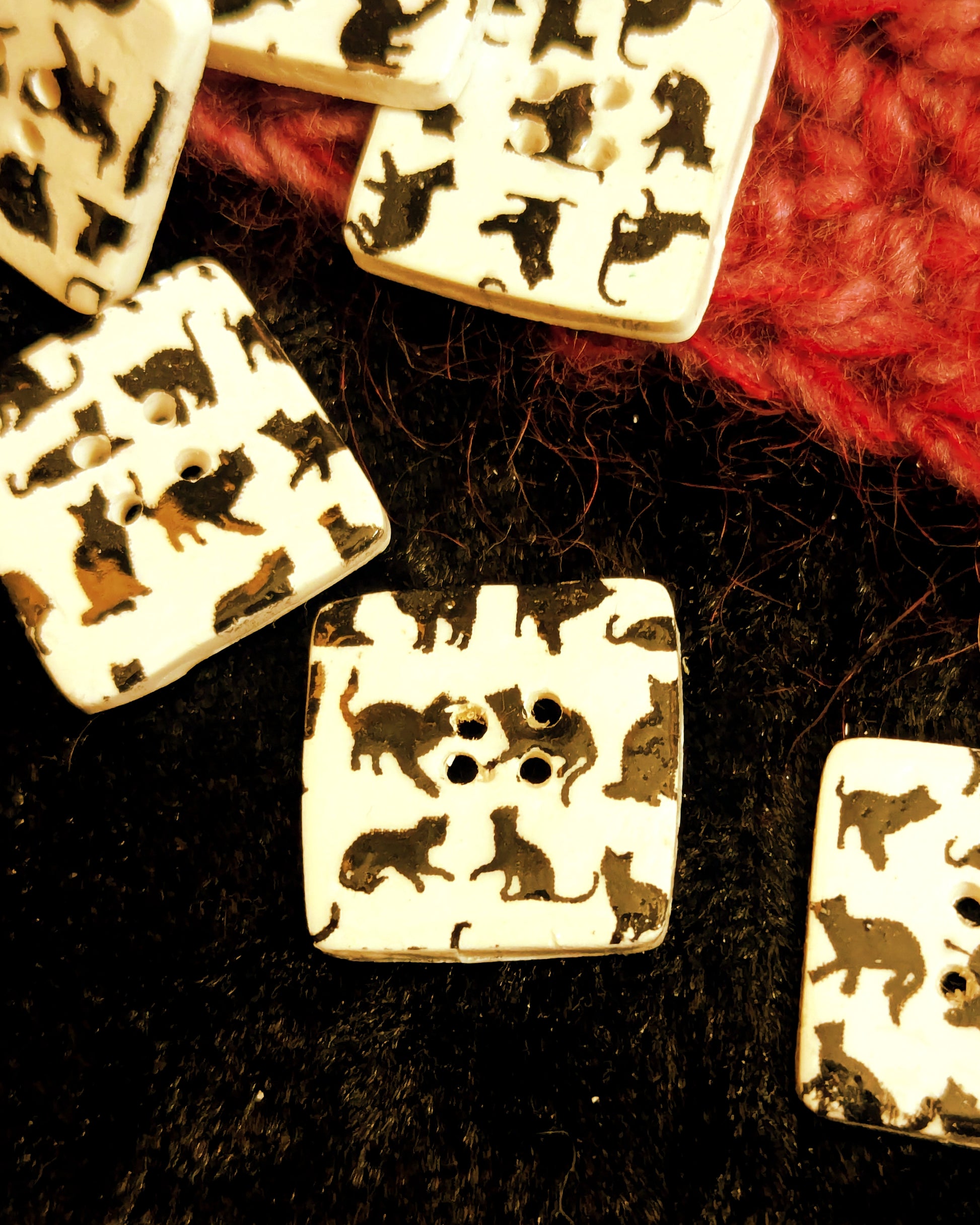 Black Cat buttons - 20mm - square